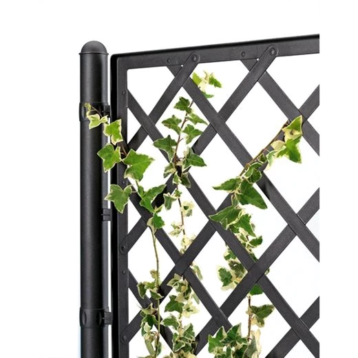 Kreher Pflanzkübel Kreher Spaliere in Rattan-Optik in Anthrazit (Größe wählbar)