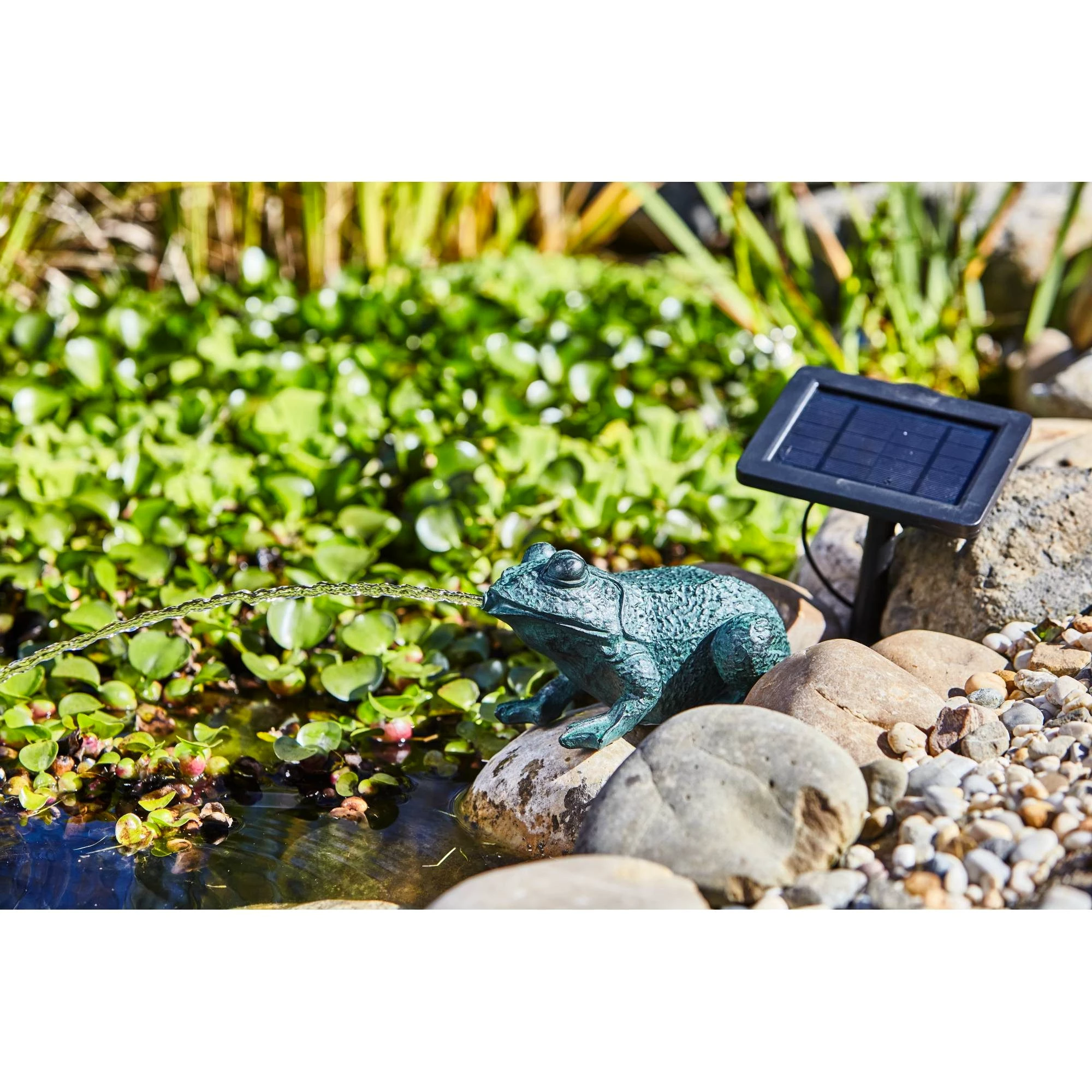 Heissner Wasserspeier Heissner SOLAR Teichfigur 'Frosch' mit Wasserspiel