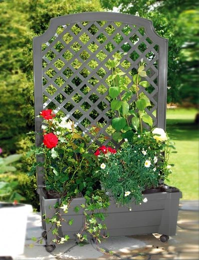 KHW Spalier, mit Pflanzkasten, BxTxH: 79x35x134 cm
