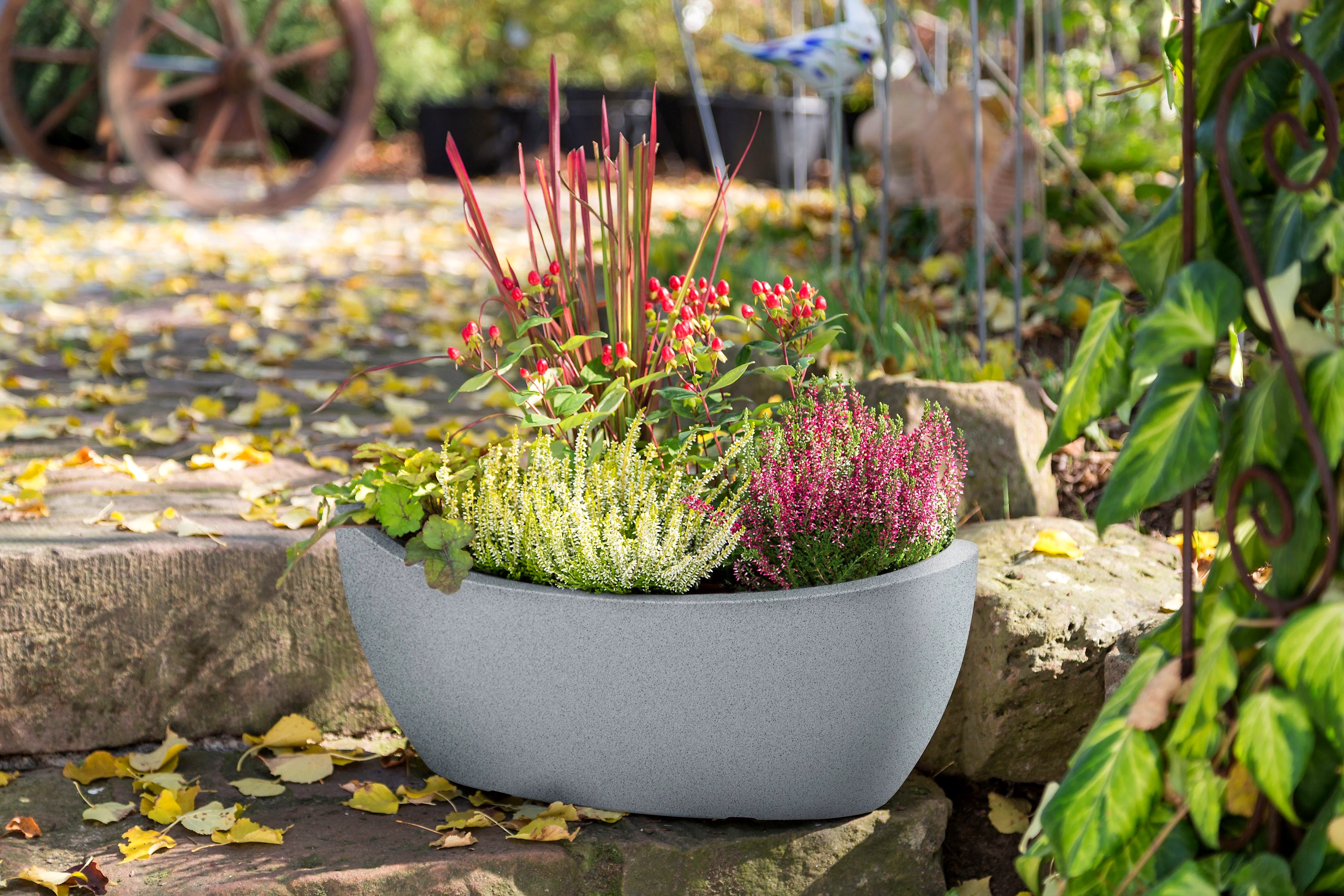 Scheurich Jardiniere 58/253 WA.GLOBE