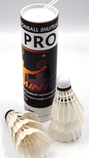 Sunflex Federball 6x Pro