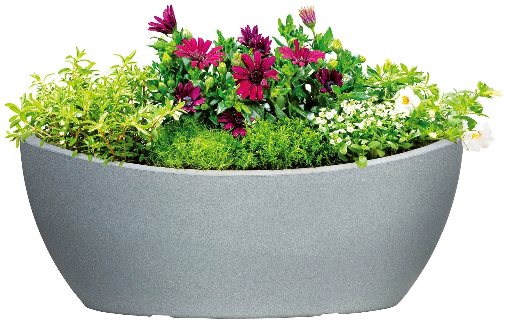 Scheurich Jardiniere 58/253 WA.GLOBE