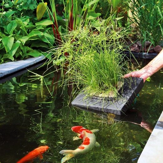 Velda Teichfilter Velda Pflanzinsel Floating Plant Island eckig 25x25cm 127577 1 Stck