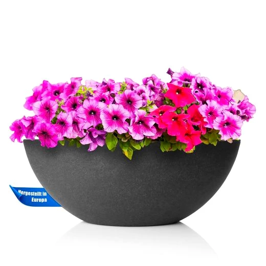 BigDean Pflanzschale ovale Wasserschale - 51x23,5x20 cm